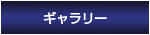 ギャラリー